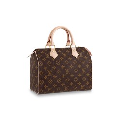 Replica Mirror Quality Louis Vuitton LV Speedy 25 M41109