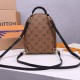 Replica Mirror Quality Louis Vuitton Palm Springs Mini Backpack M44872