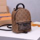 Replica Mirror Quality Louis Vuitton Palm Springs Mini Backpack M44872
