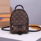 Replica Mirror Quality Louis Vuitton Palm Springs Mini Backpack M44873