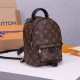 Replica Mirror Quality Louis Vuitton Palm Springs Mini Backpack M44873