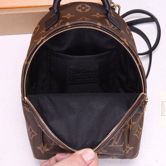 Replica Mirror Quality Louis Vuitton Palm Springs Mini Backpack M44873